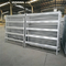 Scaffolding ERW Oval Steel Tubing Metal Cattle Panels Straight With Lightly Oiled